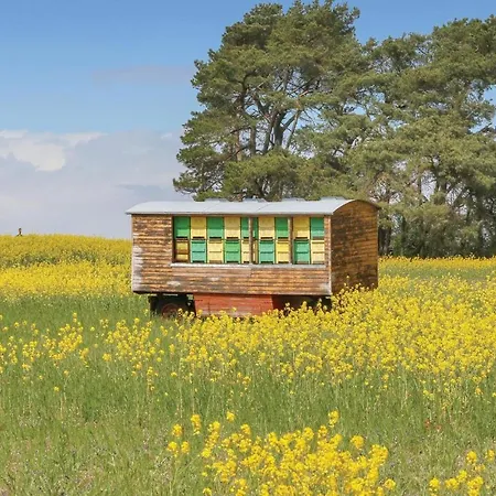Reetdachhaus 12 Auf Usedom * Kutzow
